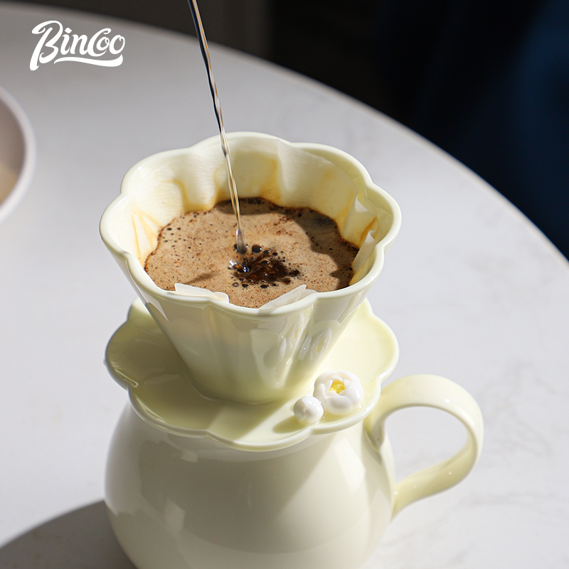 Bincoo-Ceramic Hand Brewing Po - Coffee Tea Pots 评论和价格